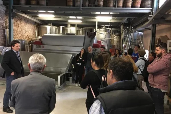 Athens Wine Tasting Tour