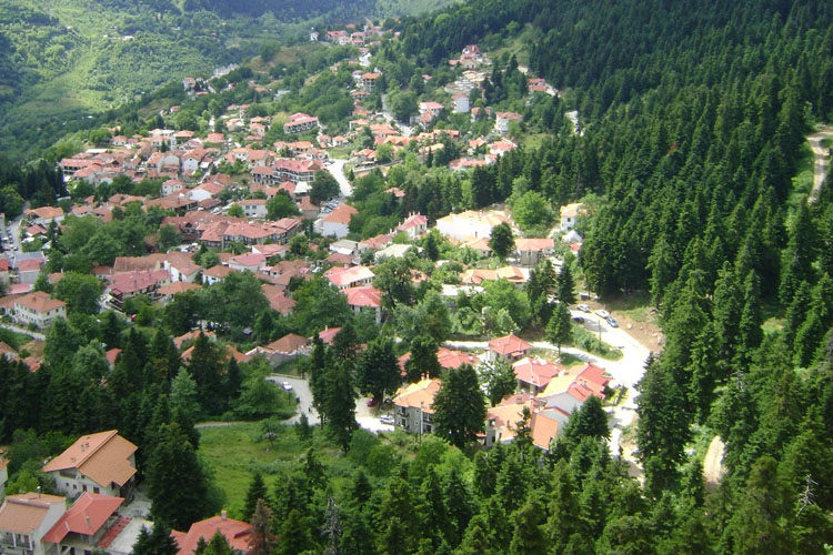 elati aerial view 